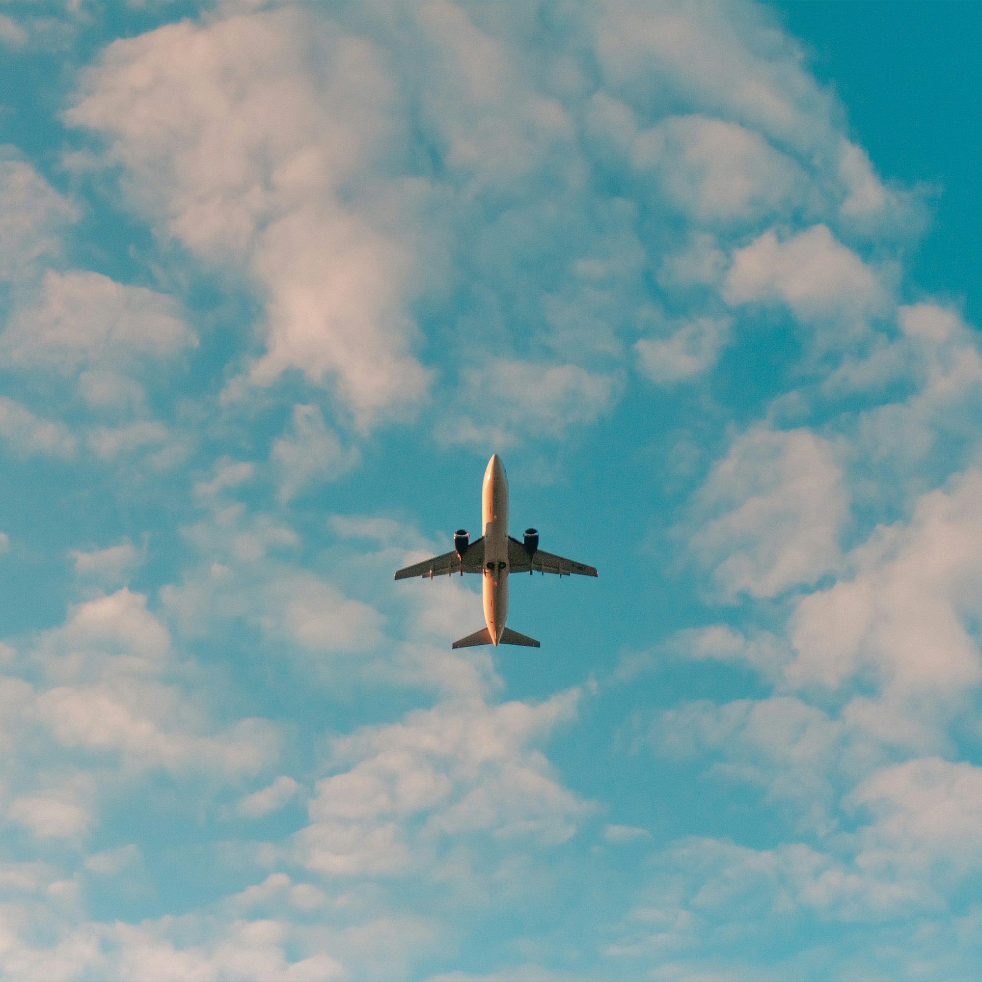 Flight Permission