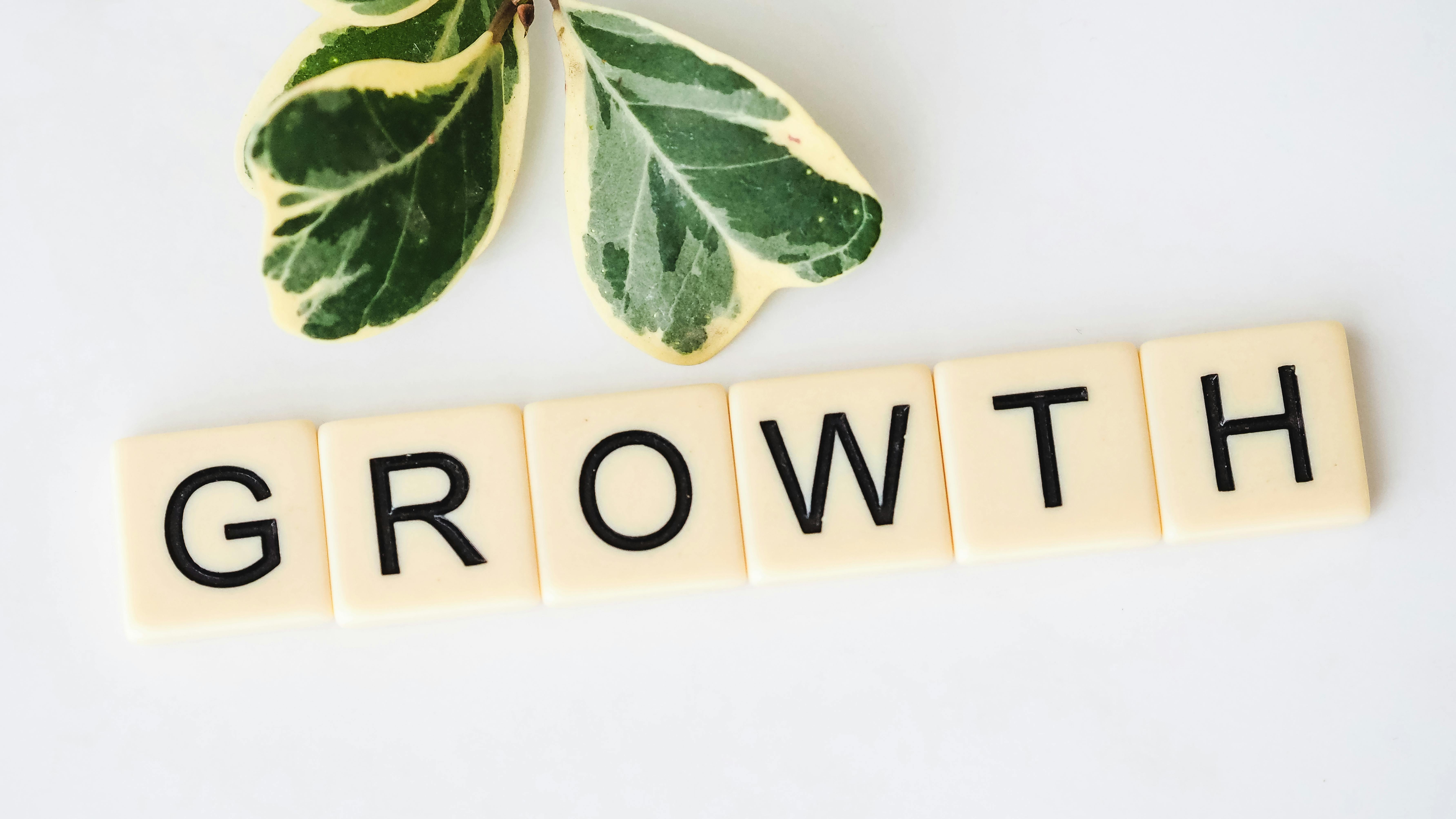Our Growth